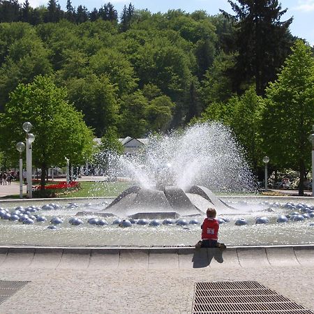 Topapartmany Lesni Mariánské Lázně Exterior foto